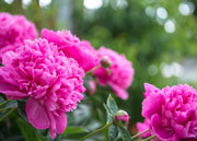 Freizeitangebot Rothmühle